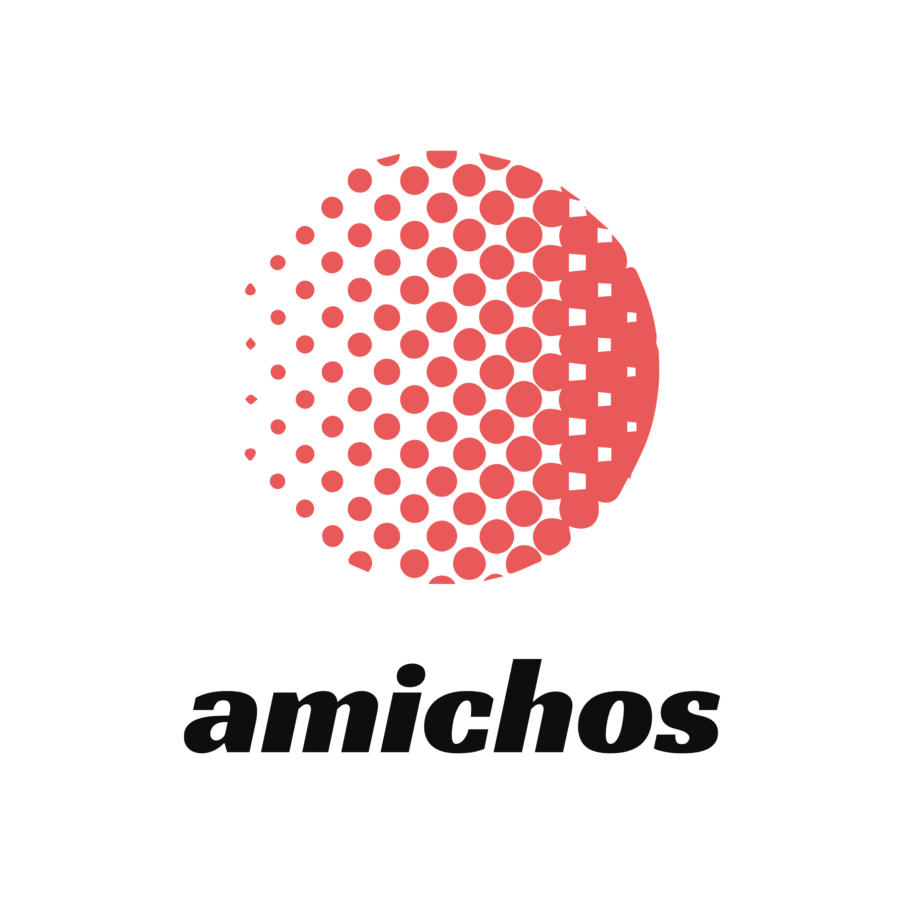 アミチョス